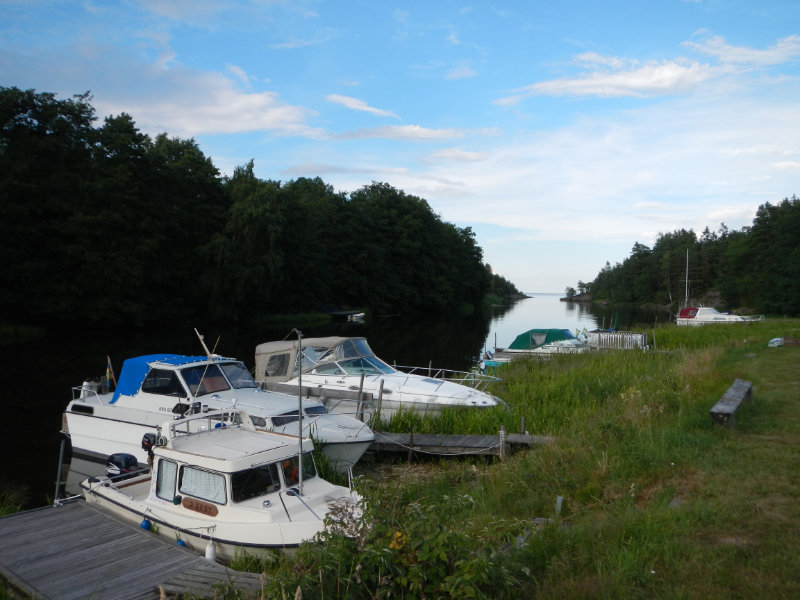 Dalbergs�
