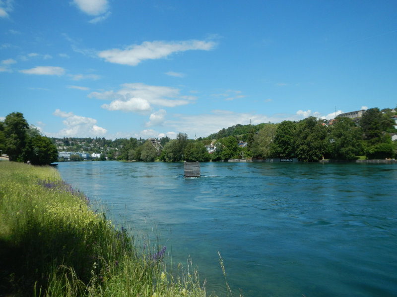 Rhein