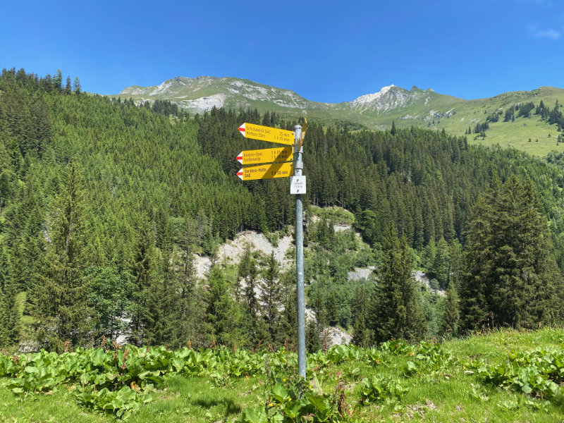 Calfeisental