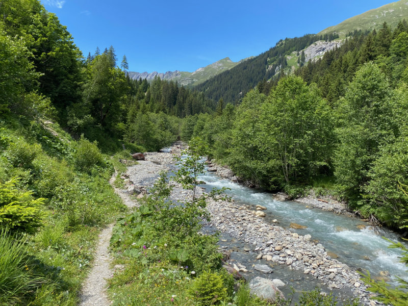 Calfeisental
