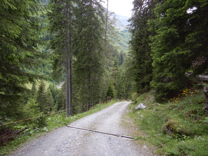Calfeisental