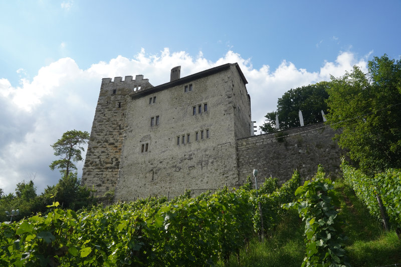 Schlo Habsburg