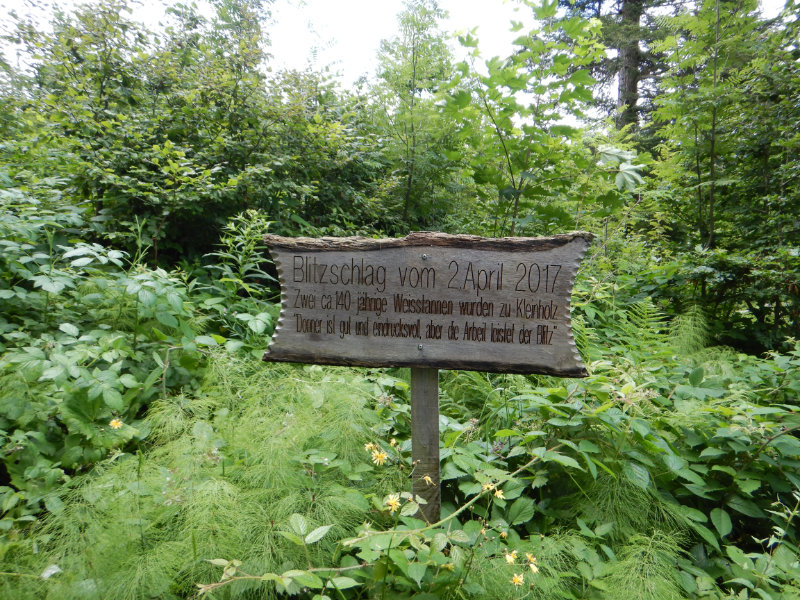 Hochalp