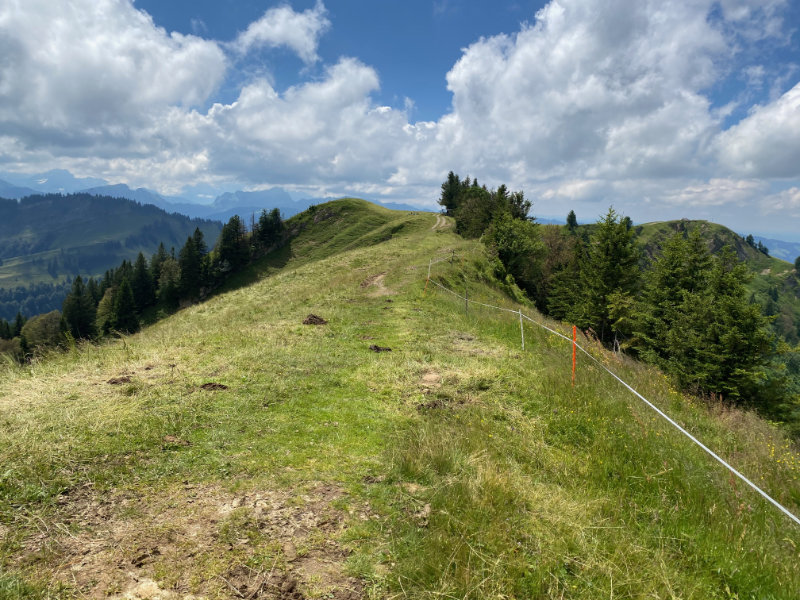 Hochalp