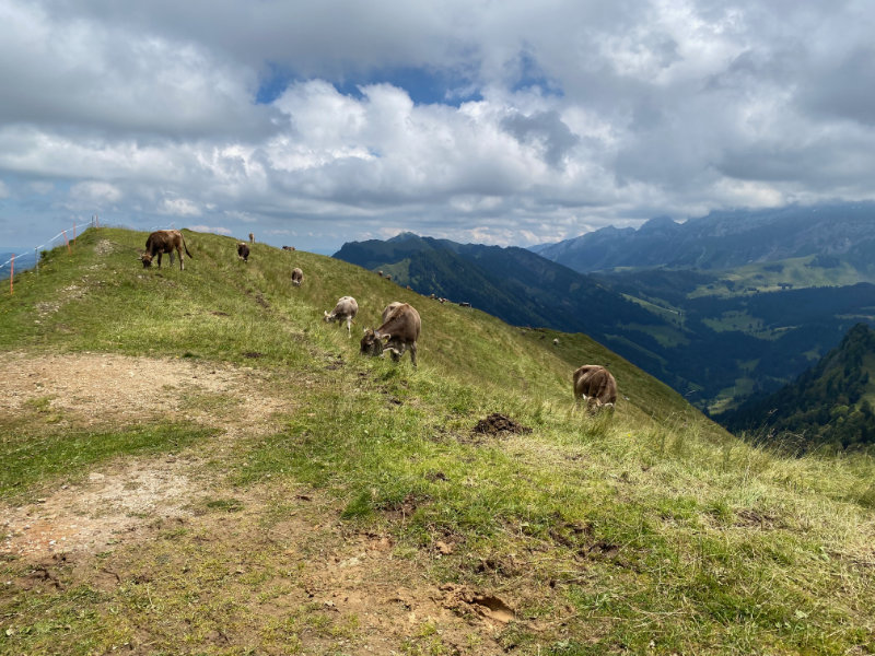 Hochalp