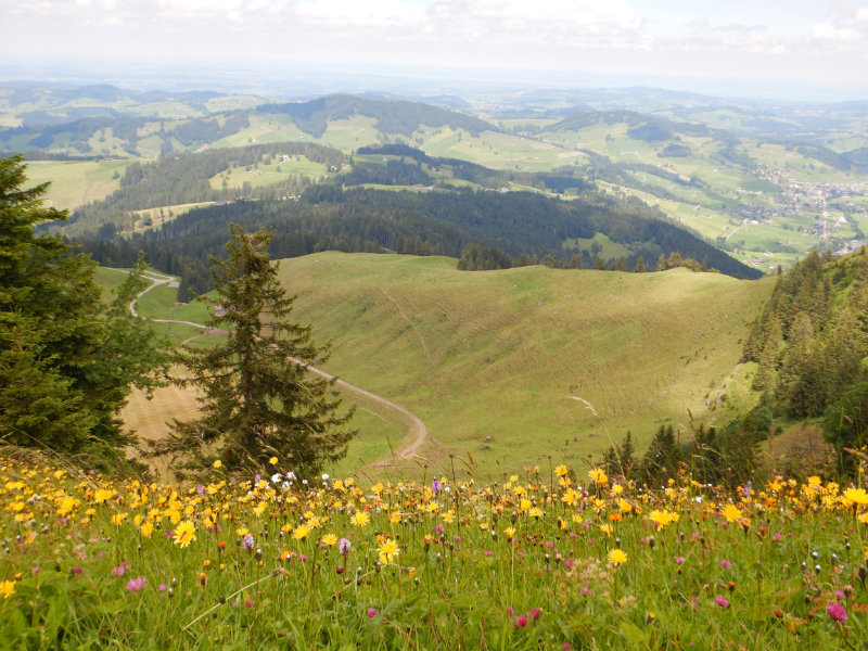 Hochalp