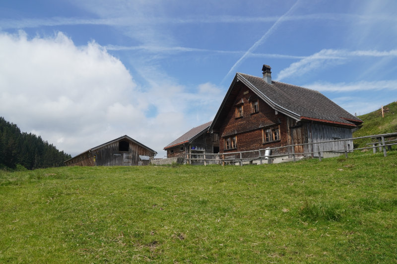 Wasserschaffen