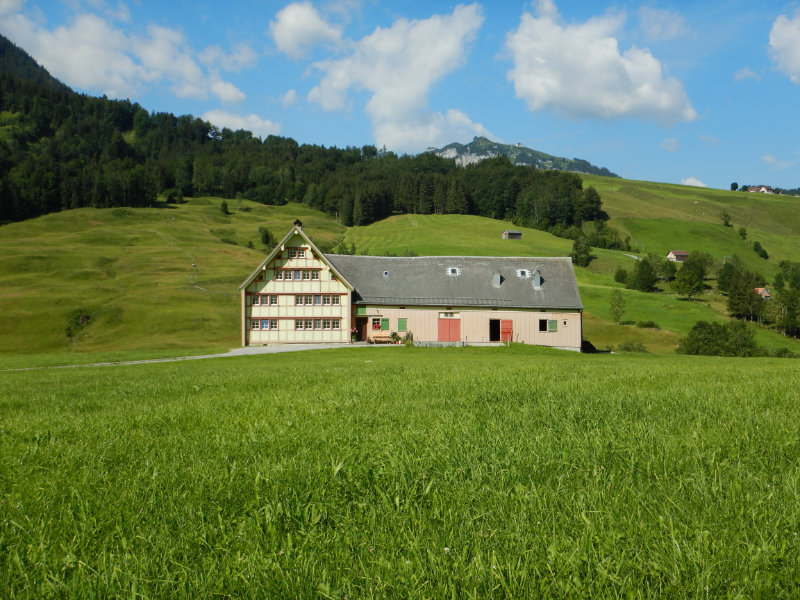 Brlisau