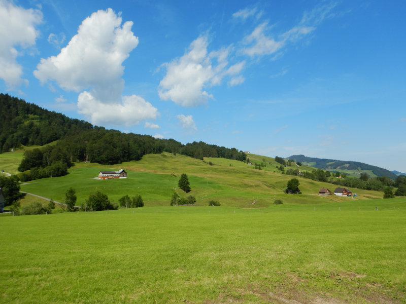 Brlisau