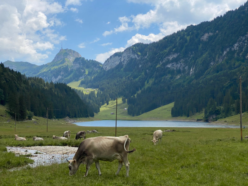 Smtisersee