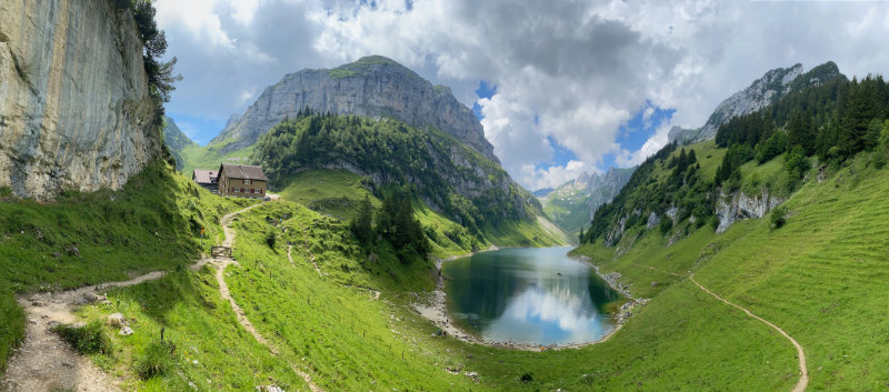 Flensee