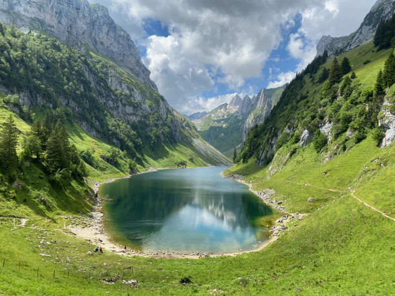 Flensee
