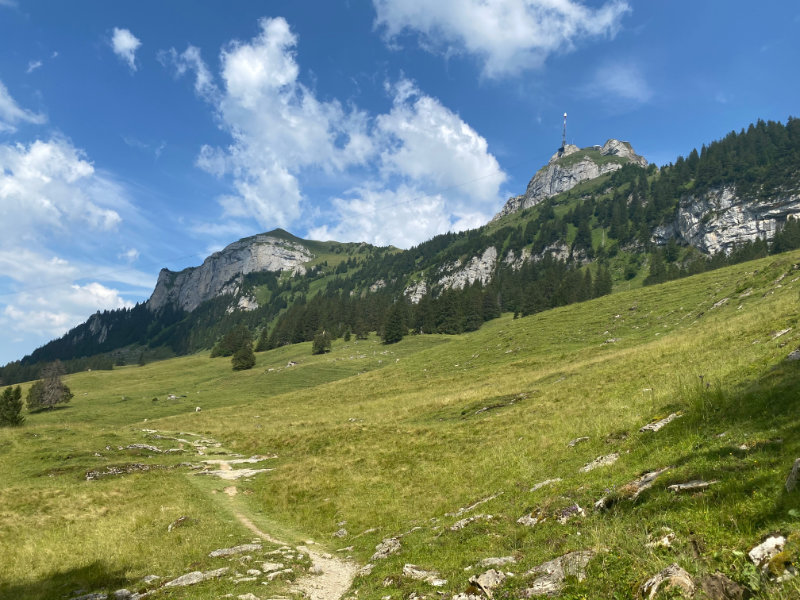 Alp Soll