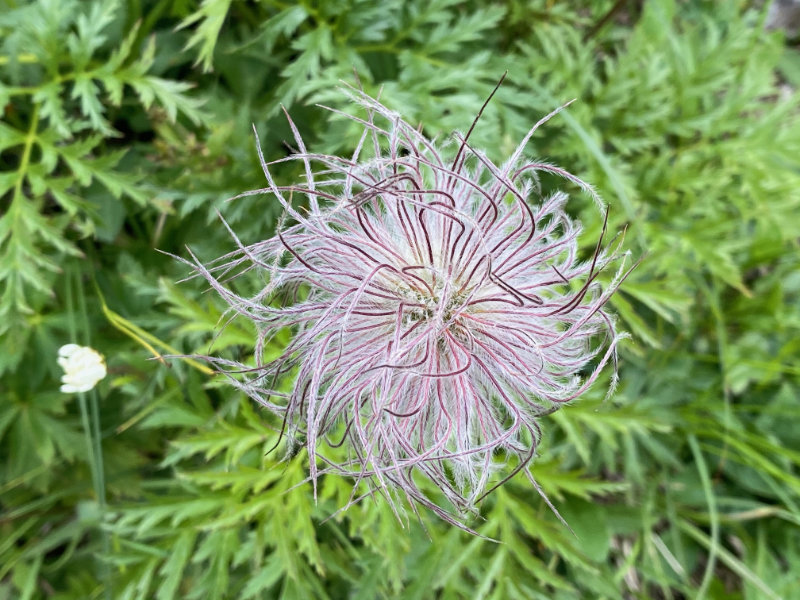 Malbun