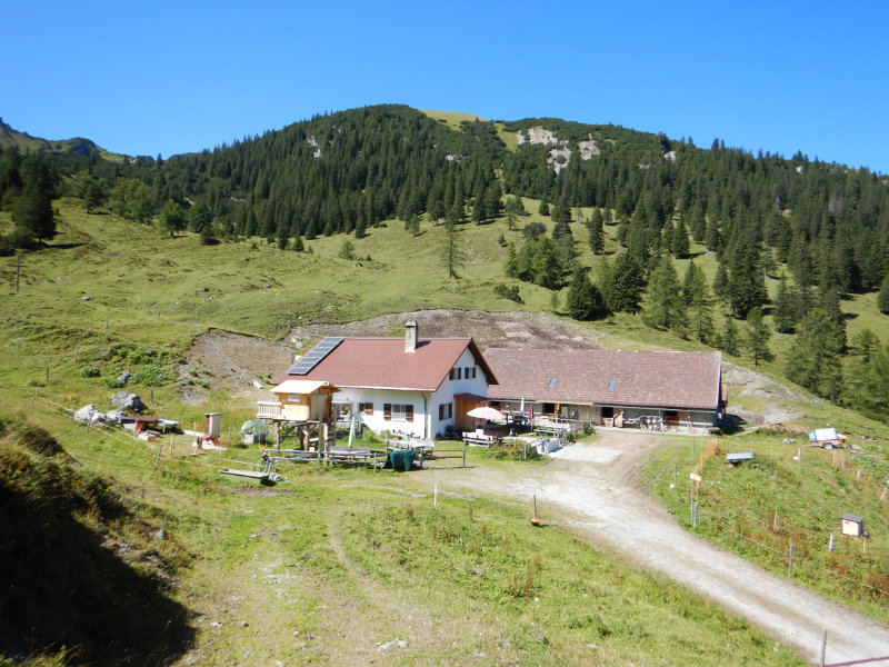 Alp Guschg