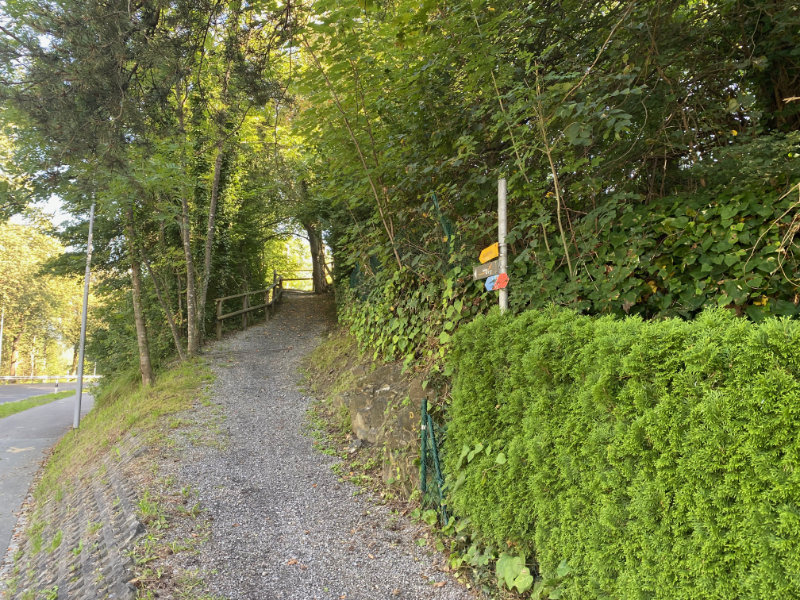 Historischer Hhenweg am Eschnerberg