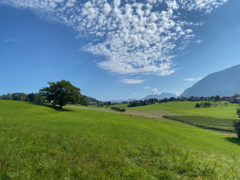 Historischer Hhenweg am Eschnerberg