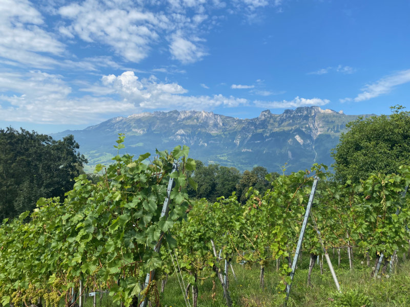 Historischer Hhenweg am Eschnerberg
