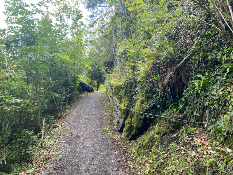 Historischer Hhenweg am Eschnerberg