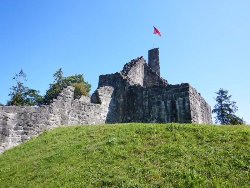 Obere Burg Schellenberg