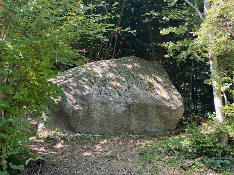 Historischer Hhenweg am Eschnerberg