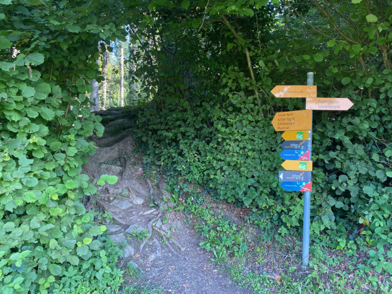 Historischer Hhenweg am Eschnerberg