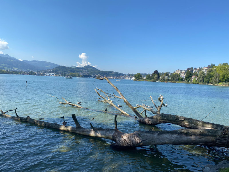 Luzern