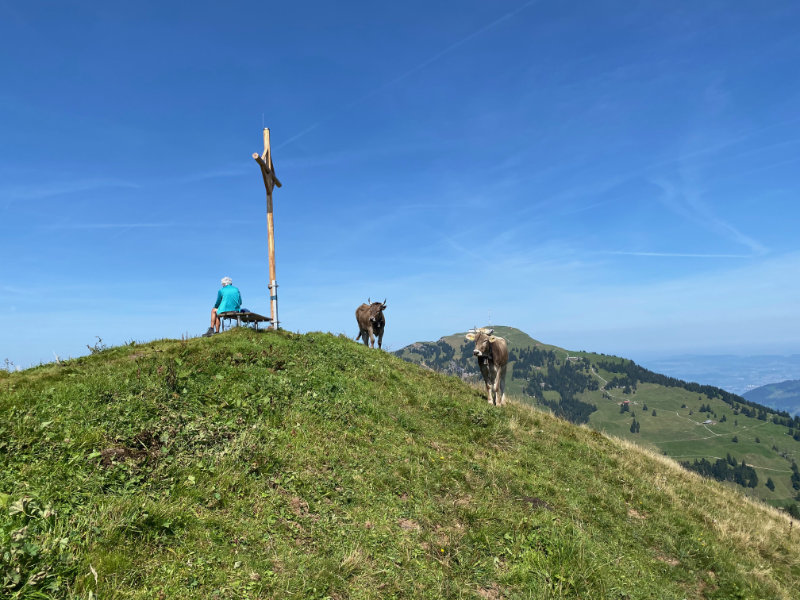Rigi