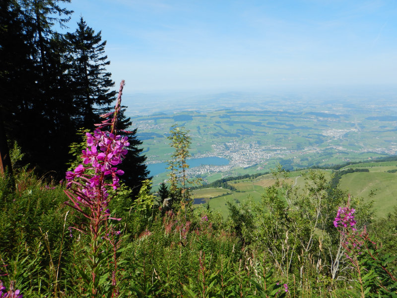Rigi