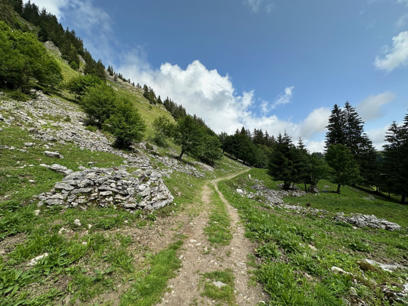Schwarzsee