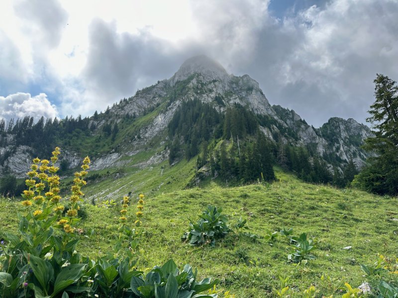 Schwarzsee