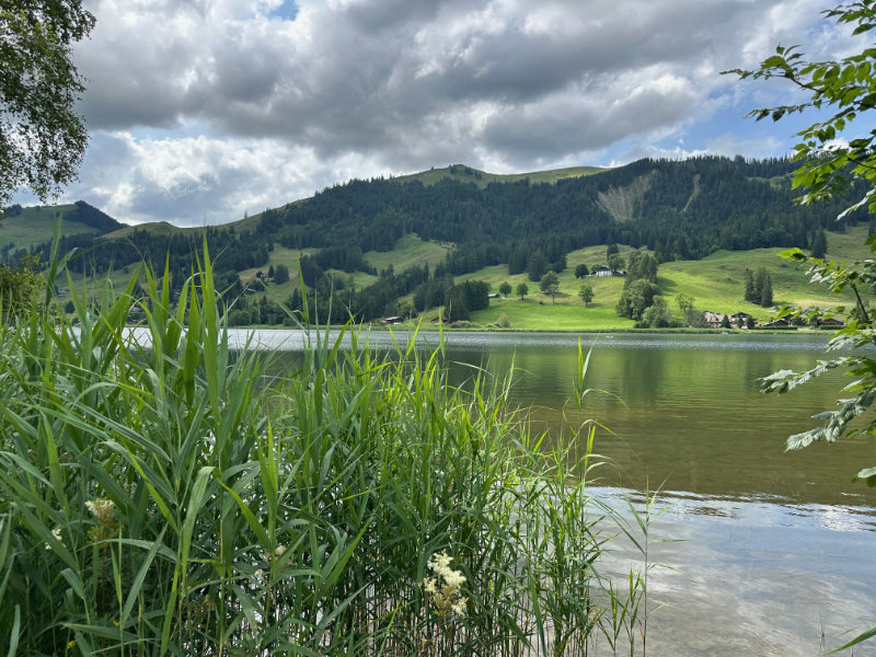 Schwarzsee