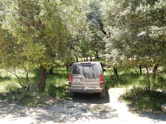 Sierra de Pozo Alc�n