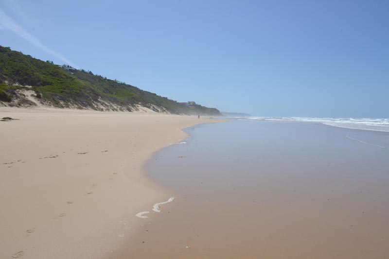 Wilderness Beach
