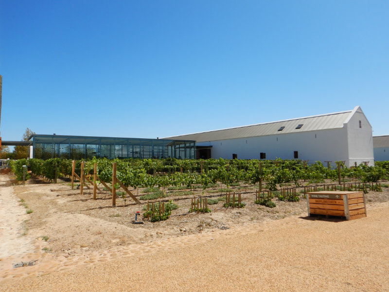 Babylonstoren