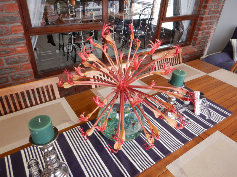 Kleinbaai Kleinbaai