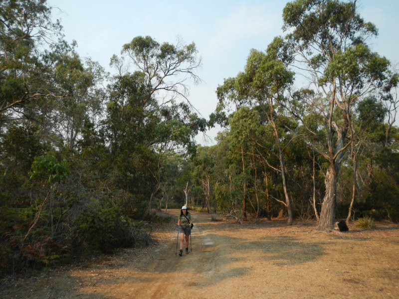 Lime Bay