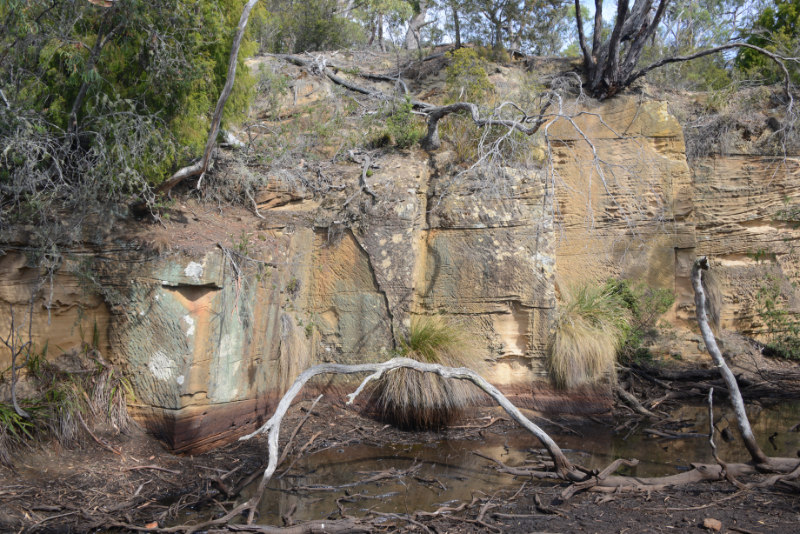 Coal Mines Historic Site