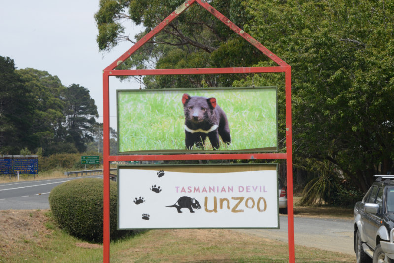 Tasmanian Devil Unzoo