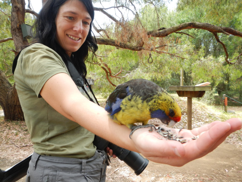 Tasmanian Devil Unzoo