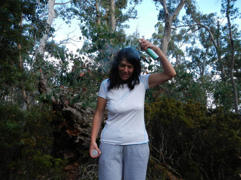 Ben Lomond NP
