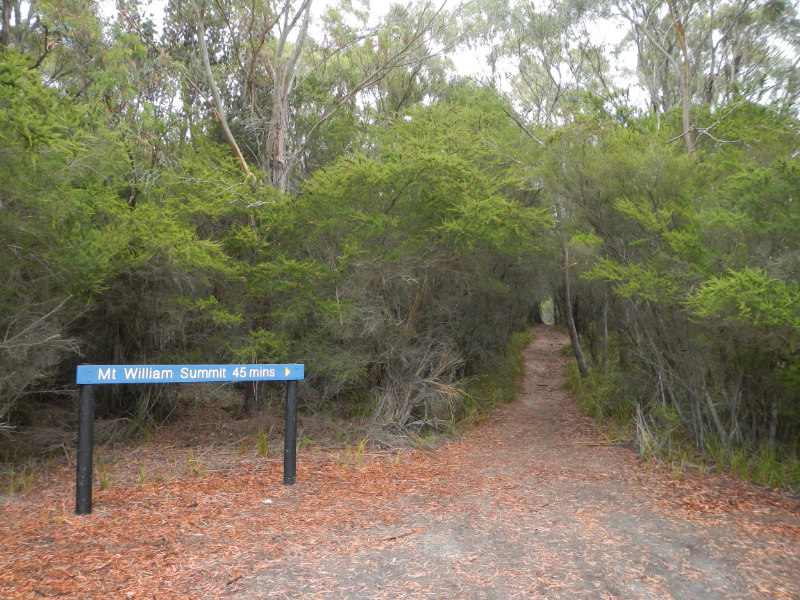 Mt.William NP