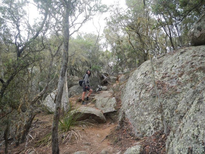 Mt.William NP