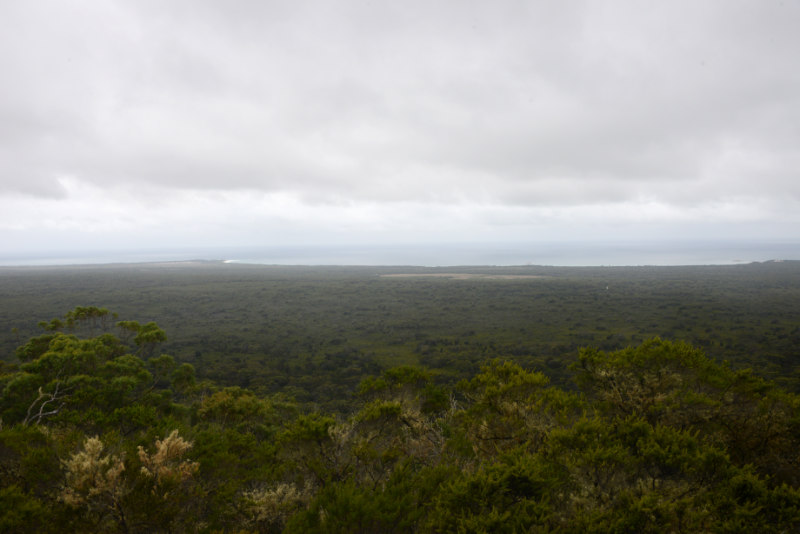 Mt.William NP