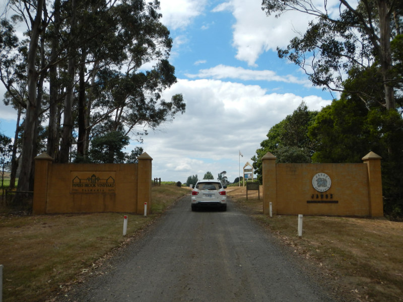 Pipers Brook Vineyard