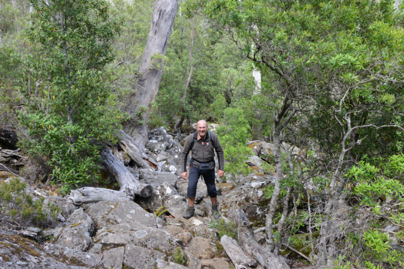 Meander Forest Reserve