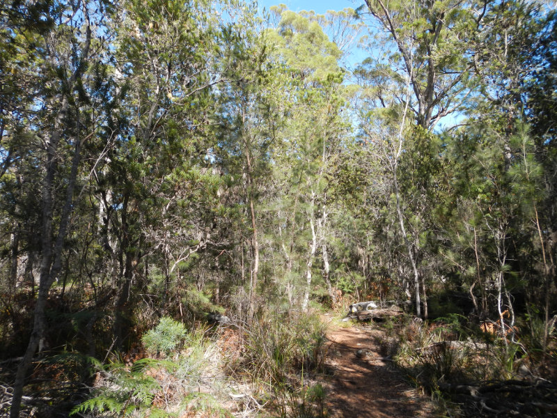 Douglas-Apsley NP