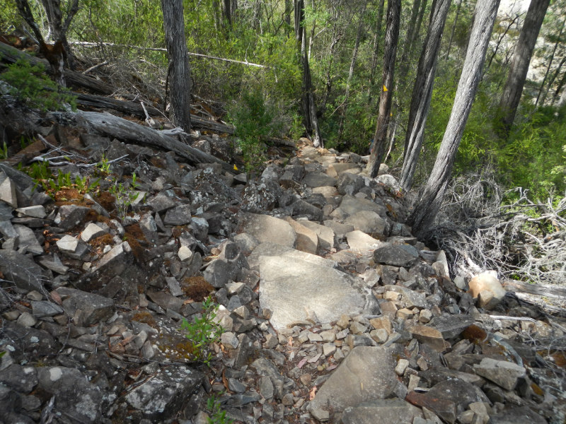 Douglas-Apsley NP