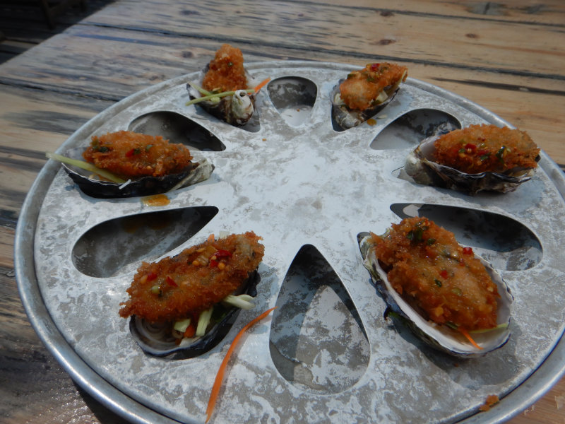 Get Shucked Oyster Farm