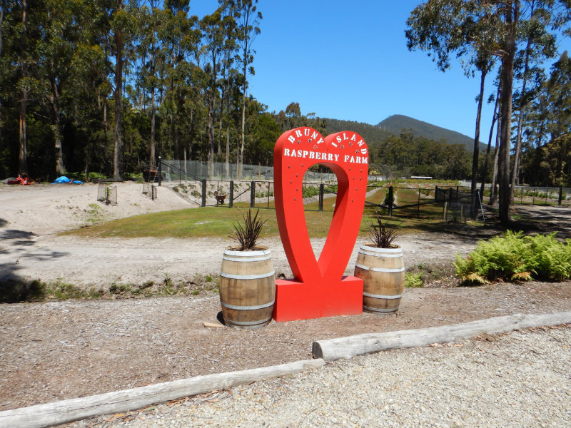 Bruny Island Rasberry Farm